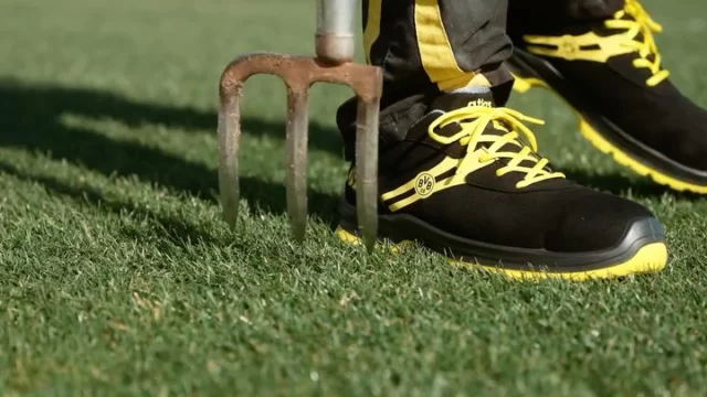 Wenn der Rasen perfekt ist, rollt der Ball – und dafür sorgt das Greenkeeping-Team des BVB mit echter Leidenschaft und täglichem Einsatz.

Mehrere zehntausend Schritte pro Tag, körperliche Belastung bei Wind und Wetter – da zählt jeder Schritt.

Deshalb waren wir mit unserem FIT-Truck vor Ort und haben das Team mit unserer semi-orthopädischen FIT Insole ausgestattet.

➡️ Zur Vorbeugung von Verletzungen.
➡️ Für optimalen Halt und gesunde Füße.

👉 Mehr Dämpfung. Mehr Stabilität. Mehr Support.

#ATLAS #FITInsole #BVB #Greenkeeping #Fußgesundheit #Sicherheitsschuhe #Teamwork #Partnerschaft
